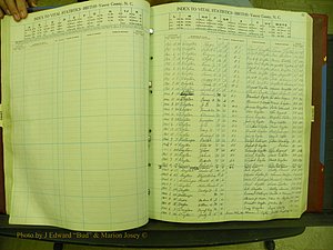 Yancey Births, 1940-1994, Index D, 41.JPG