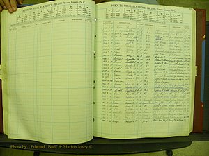 Yancey Births, 1940-1994, Index D, 43.JPG