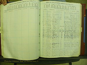 Yancey Births, 1940-1994, Index D, 45.JPG
