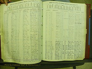 Yancey Births, 1940-1994, Index F, 60.JPG