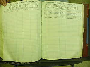 Yancey Births, 1940-1994, Index I, 85.JPG