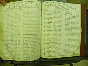 Yancey Births, 1940-1994, Index R, 141a.JPG