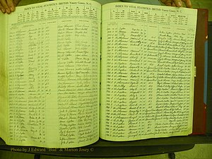 Yancey Births, 1940-1994, Index T, 168.JPG
