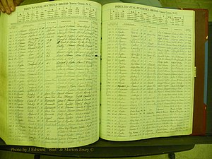 Yancey Births, 1940-1994, Index T, 169a.JPG
