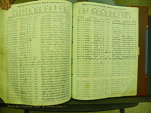 Yancey Births, 1940-1994, Index W, 187a.JPG