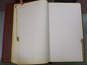 York Co, SC, Marriages, Before 1911 017.JPG